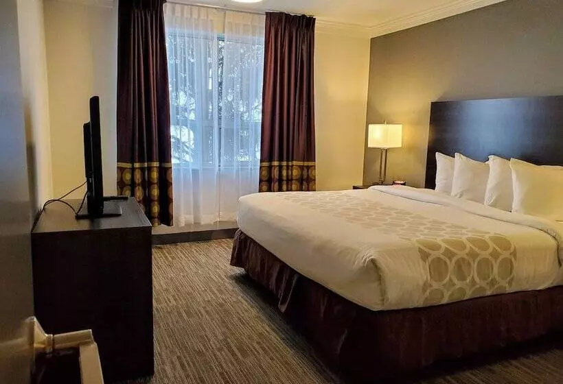 בית מלון כפרי Super 8 By Wyndham Macleod Trail Calgary