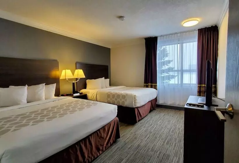 בית מלון כפרי Super 8 By Wyndham Macleod Trail Calgary