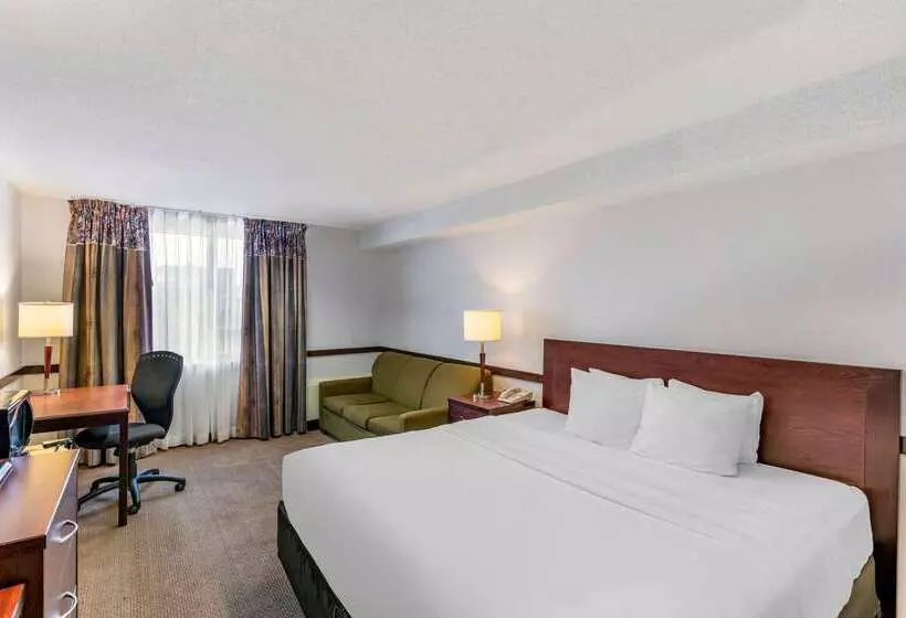 酒店 Quality Inn And Suites Montreal East