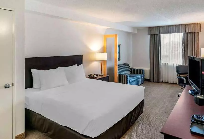 酒店 Quality Inn And Suites Montreal East