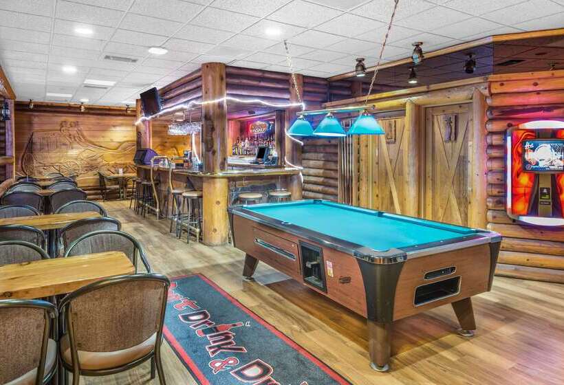 ホテル Super 8 By Wyndham Innisfail