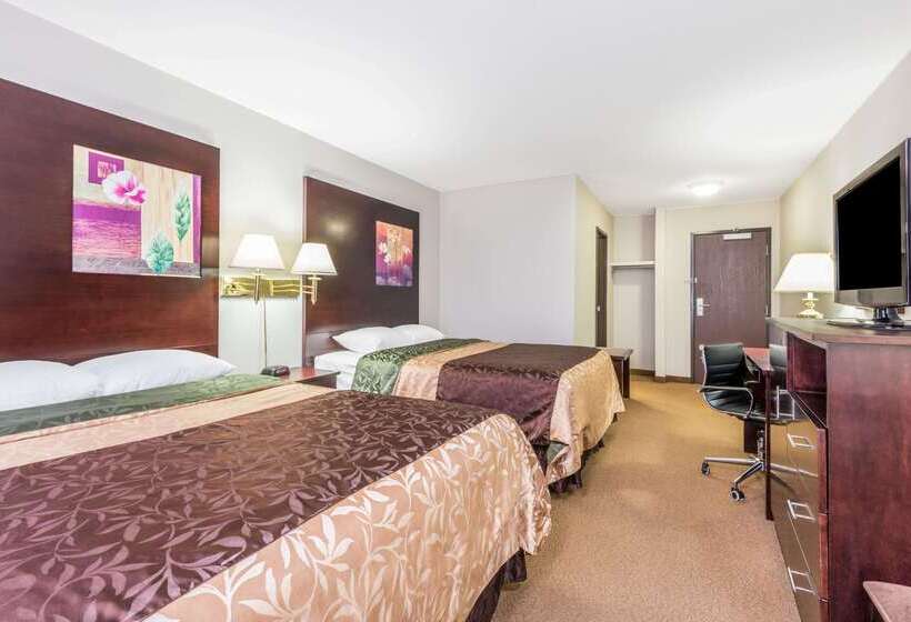 ホテル Super 8 By Wyndham Innisfail