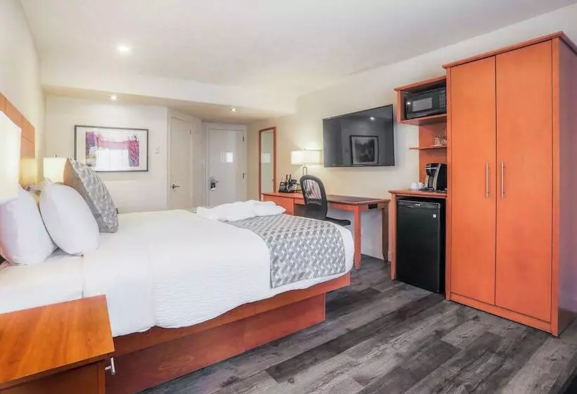 汽车旅馆  Hôtel & Cie