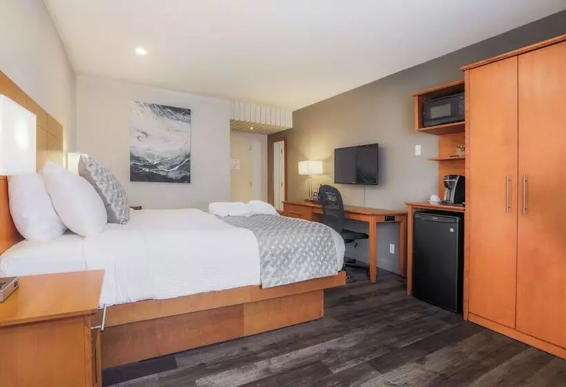 汽车旅馆  Hôtel & Cie