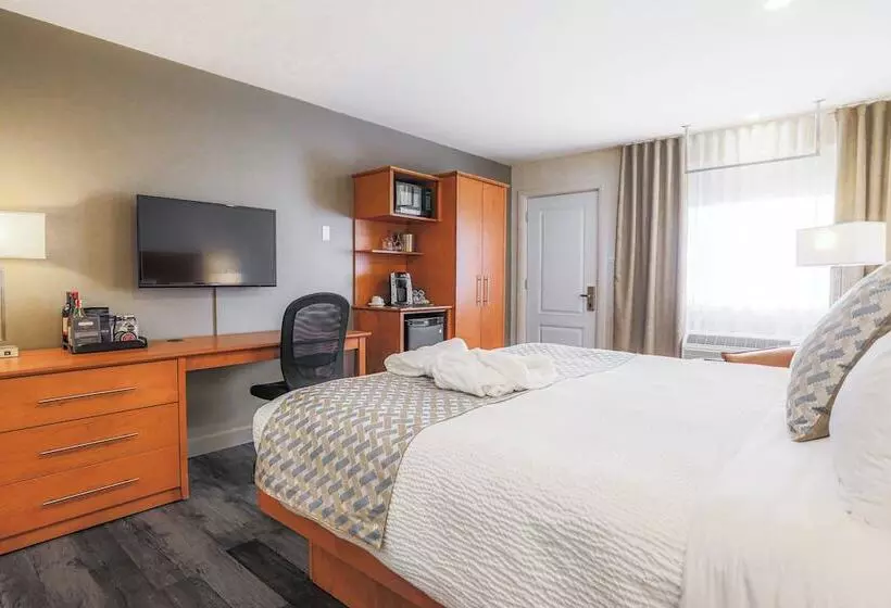 汽车旅馆  Hôtel & Cie