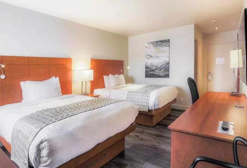 汽车旅馆  Hôtel & Cie