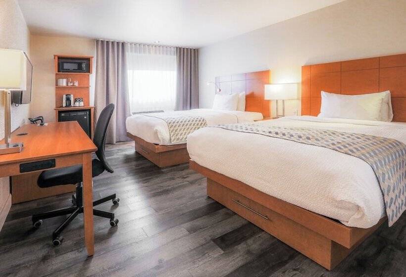 מוטל Hôtel & Cie