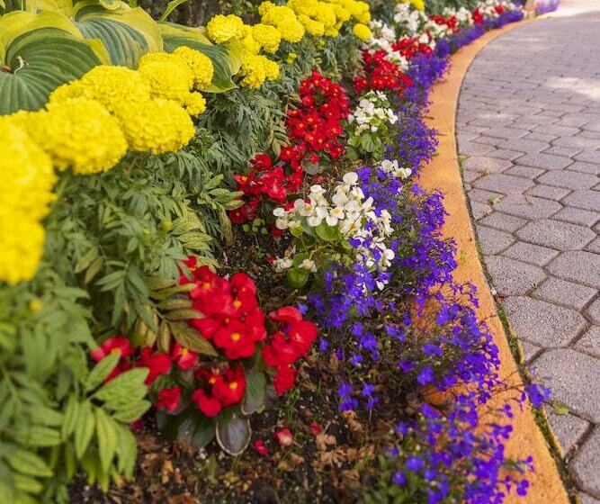 בית מלון כפרי Accent Inns Vancouver Airport