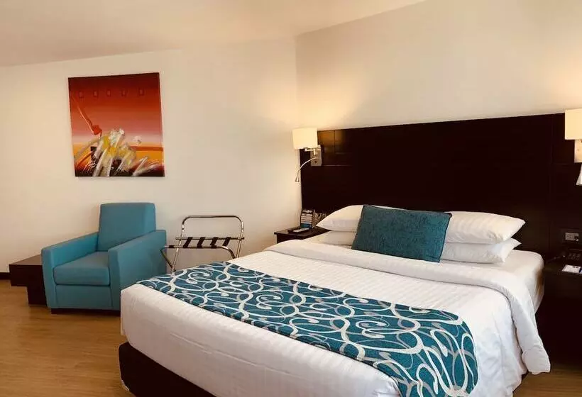 Отель Dann Cali