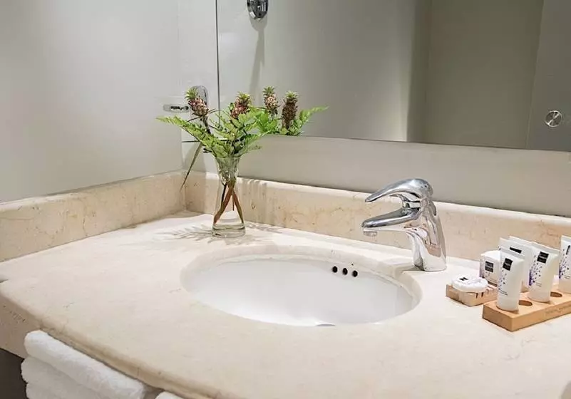 ホテル Novus Plaza Hodelpa