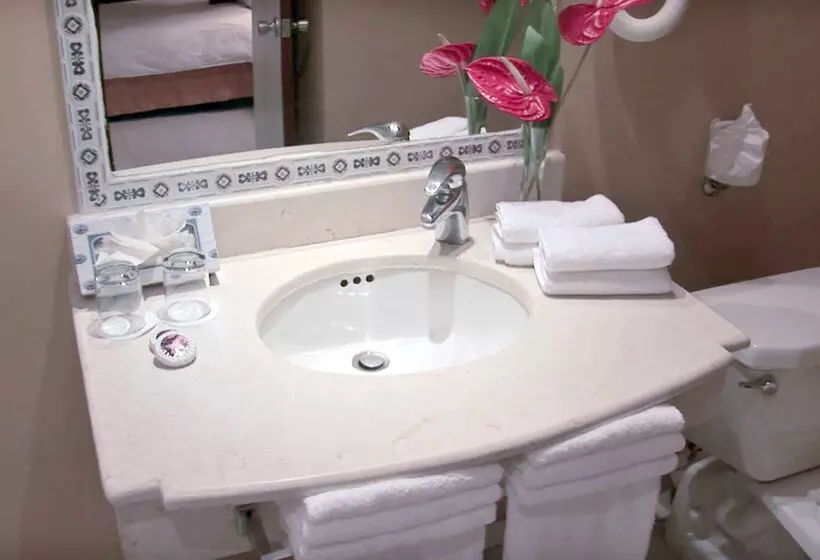 ホテル Novus Plaza Hodelpa