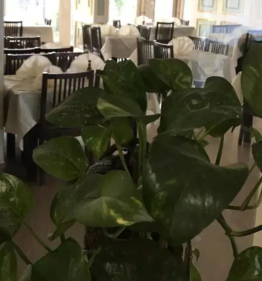 هتل Royal Marshal