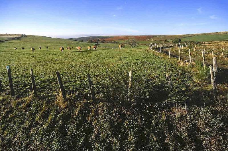Отель Mercure Rodez Cathedrale