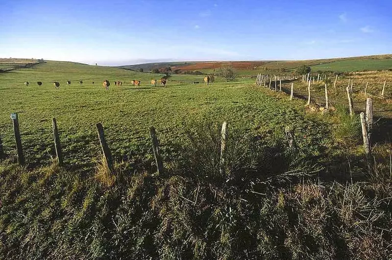酒店 Mercure Rodez Cathedrale