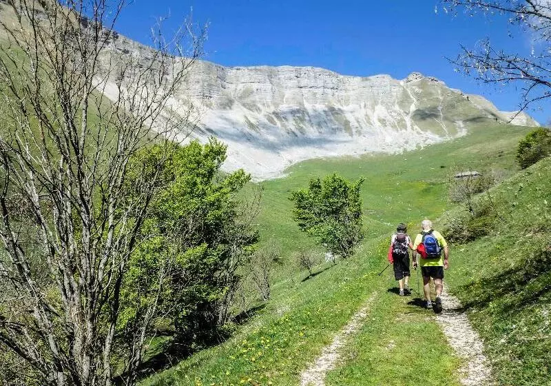 酒店 Mercure Rodez Cathedrale