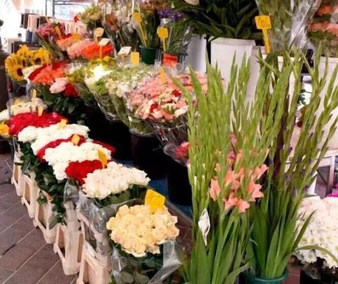 Splendid Hotel & Spa Nice