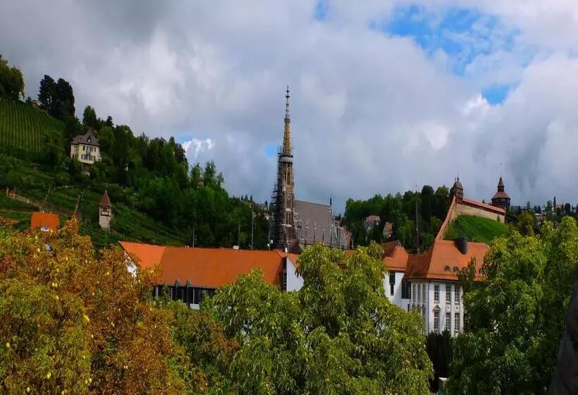 Отель Am Schelztor