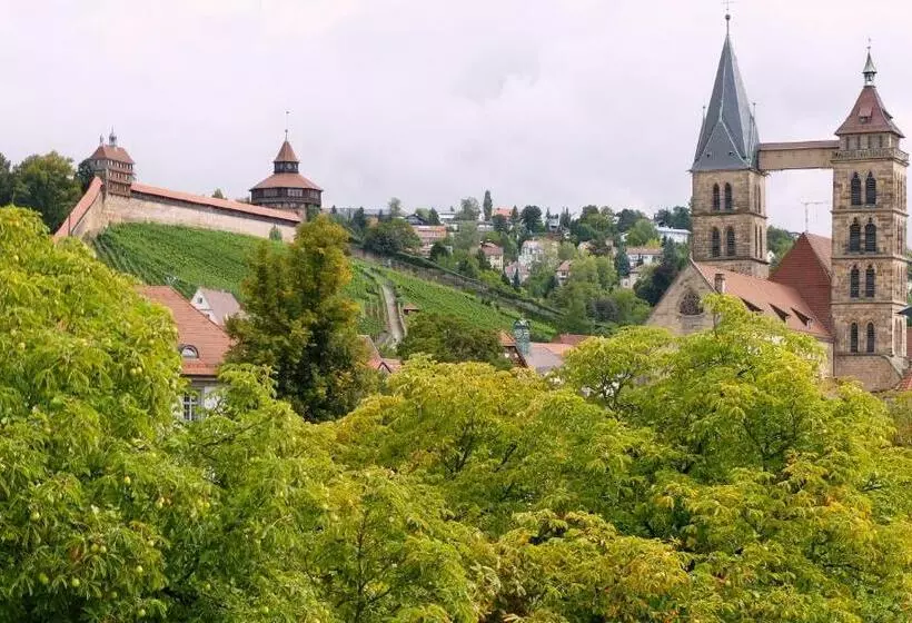 Отель Am Schelztor