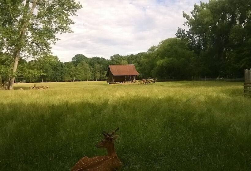 هتل Markgraf Leipzig