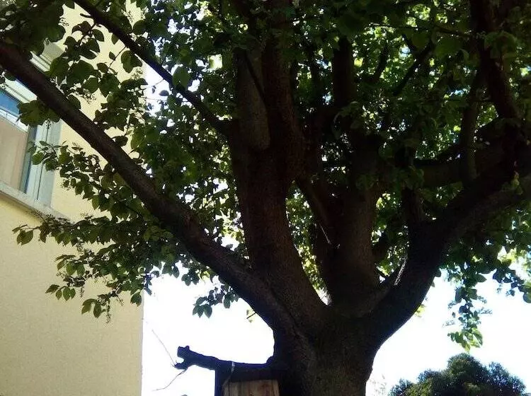 酒店 Markgraf Leipzig