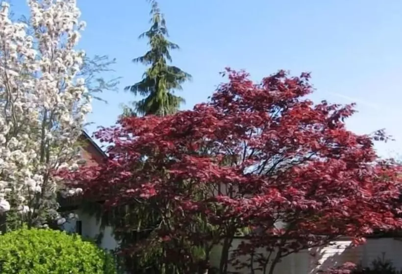 Отель Am Wasserturm