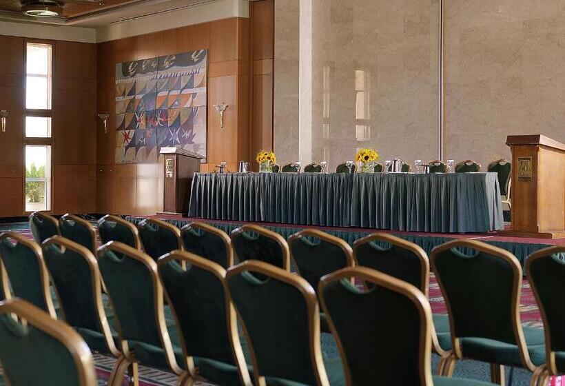 ホテル Divani Apollon Palace & Thalasso