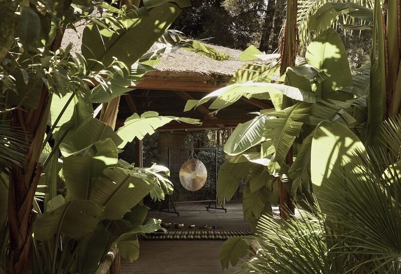 בית מלון כפרי F Zeen Kefalonia