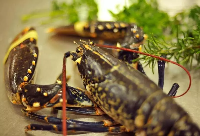 Aherne S Townhouse Hotel And Seafood Restaurant