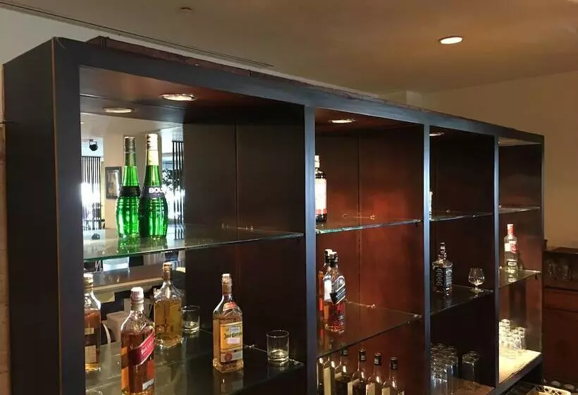 호텔 Aryaduta Manado