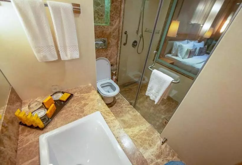 هتل Bawa International