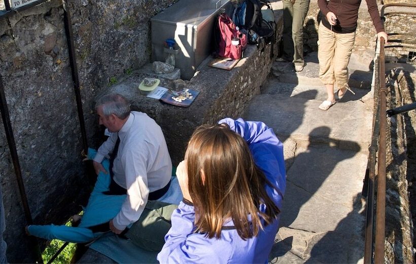 בית מלון כפרי Bayview