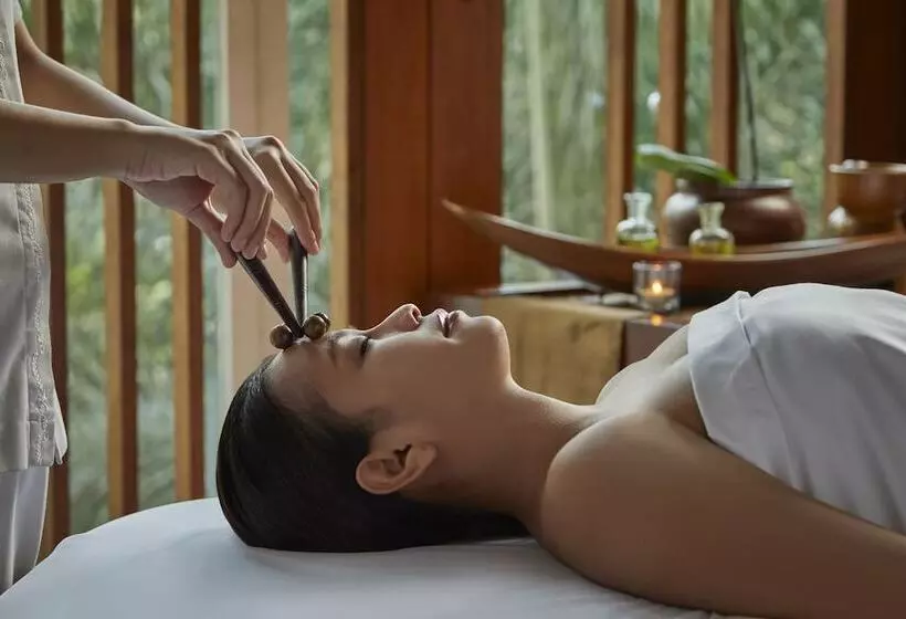 ホテル The Dharmawangsa Jakarta