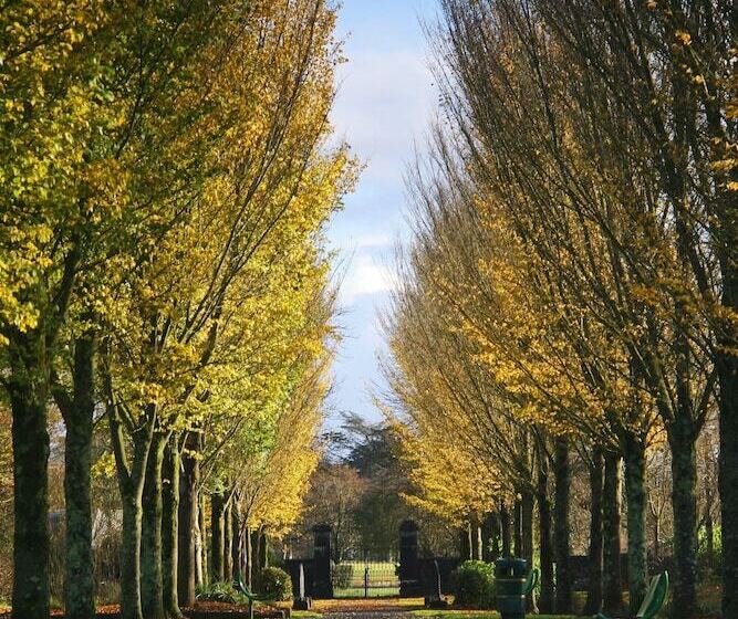 호텔 The Dunraven, Adare