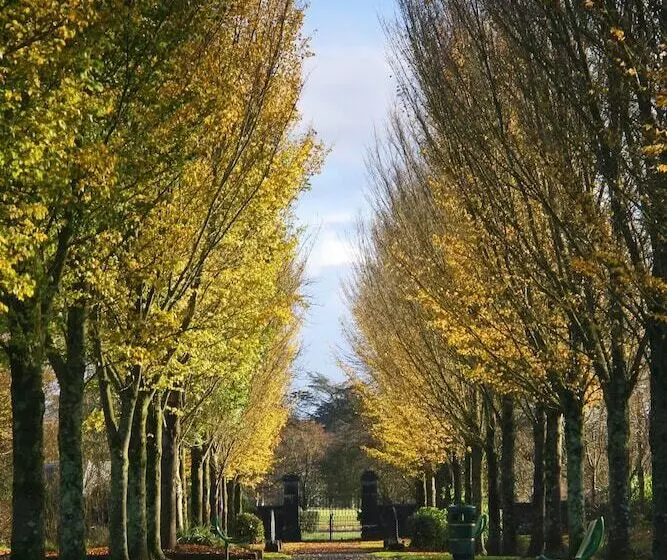 호텔 The Dunraven, Adare