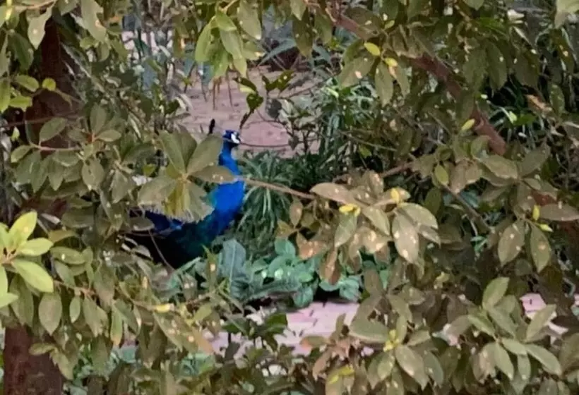 ホテル The Radha Ashok