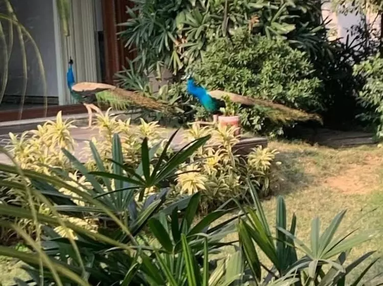 ホテル The Radha Ashok