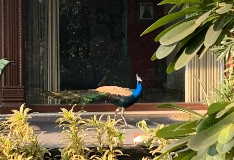 ホテル The Radha Ashok