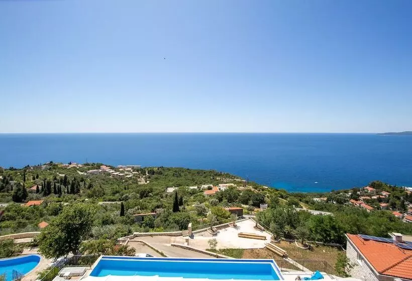Olive Resort