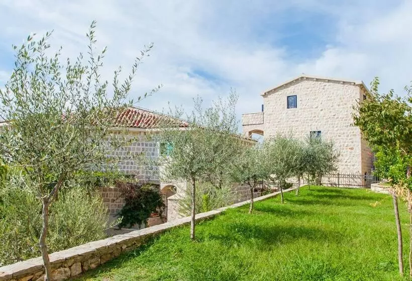 Olive Resort