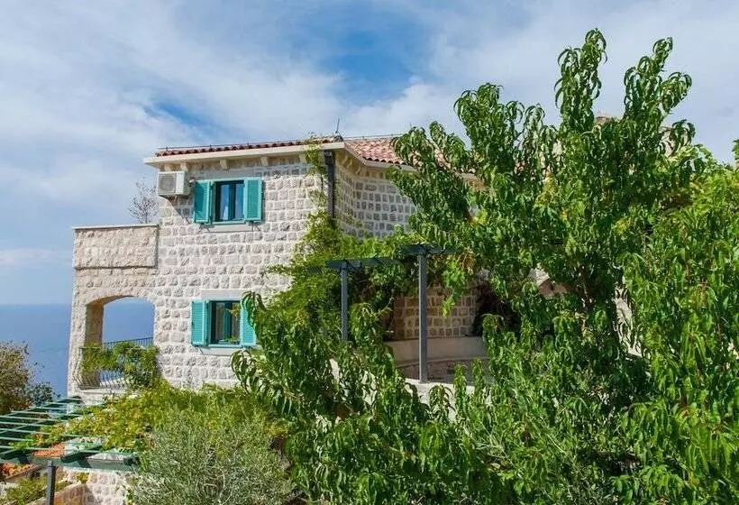 Olive Resort