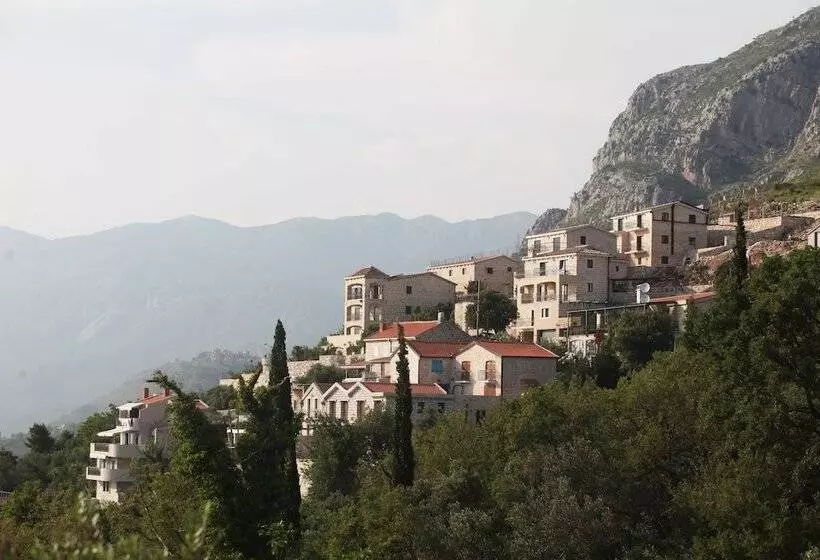 Olive Resort