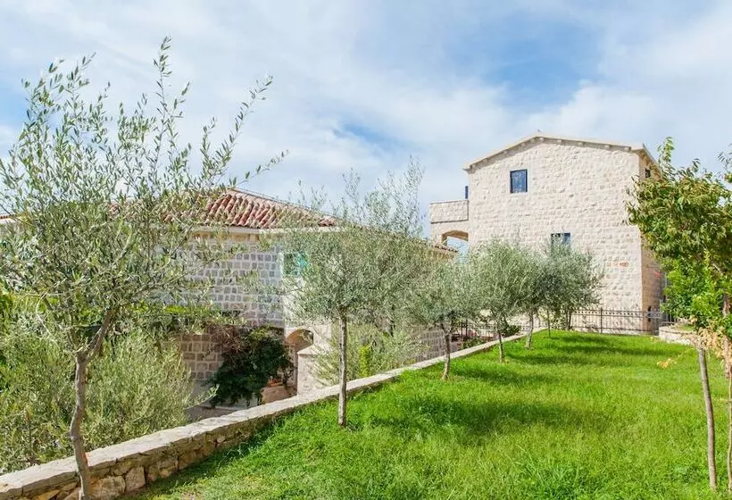 Olive Resort