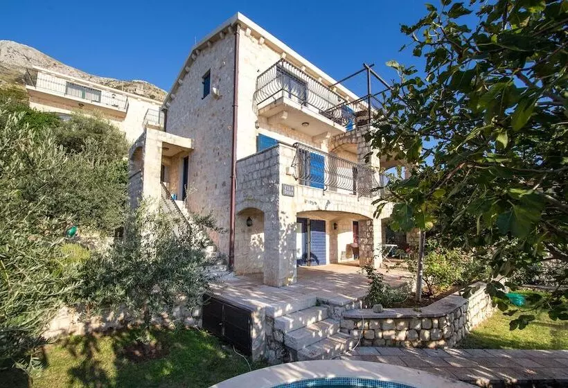Olive Resort