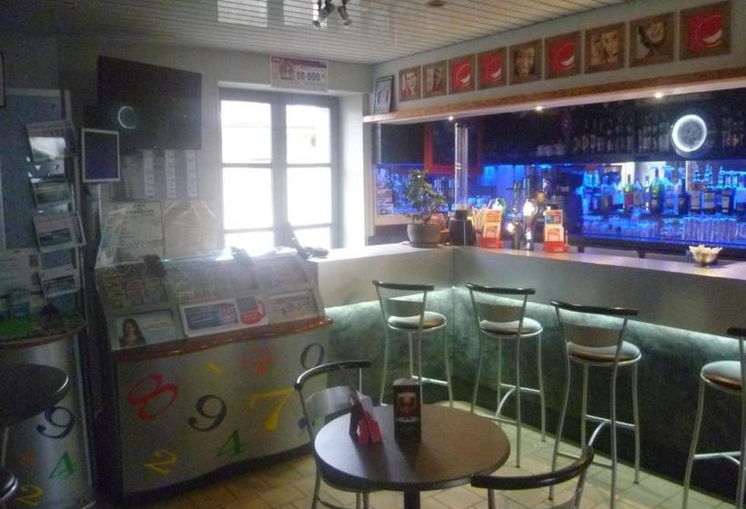 酒店 Hôtel Des Voyageurs