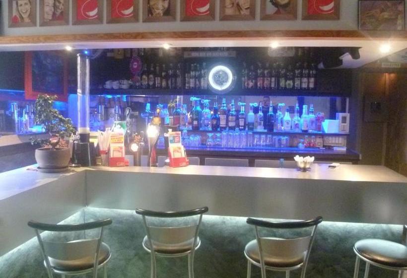 酒店 Hôtel Des Voyageurs