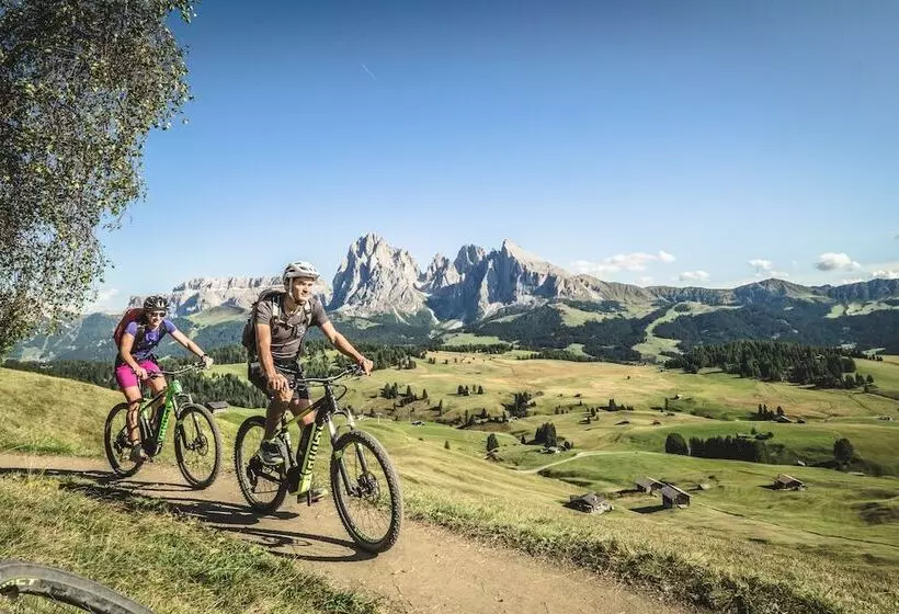 Отель Adler Spa Resort Dolomiti