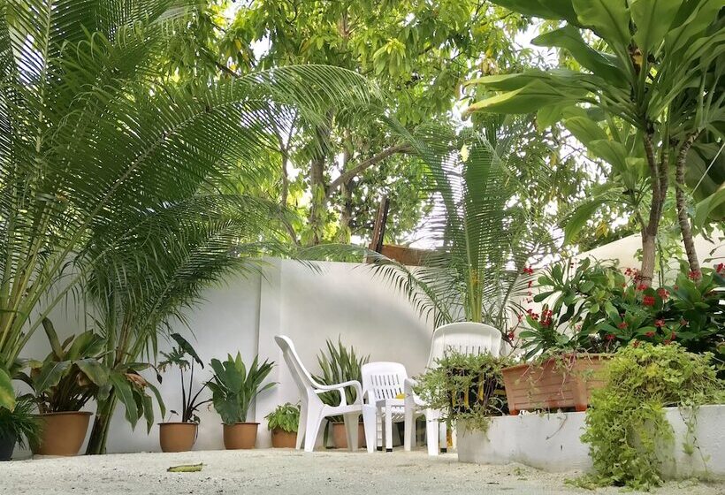 پانسیون Rasdhoo Dive Lodge