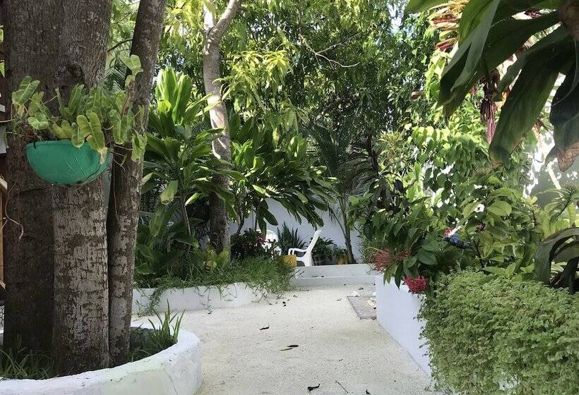 پانسیون Rasdhoo Dive Lodge