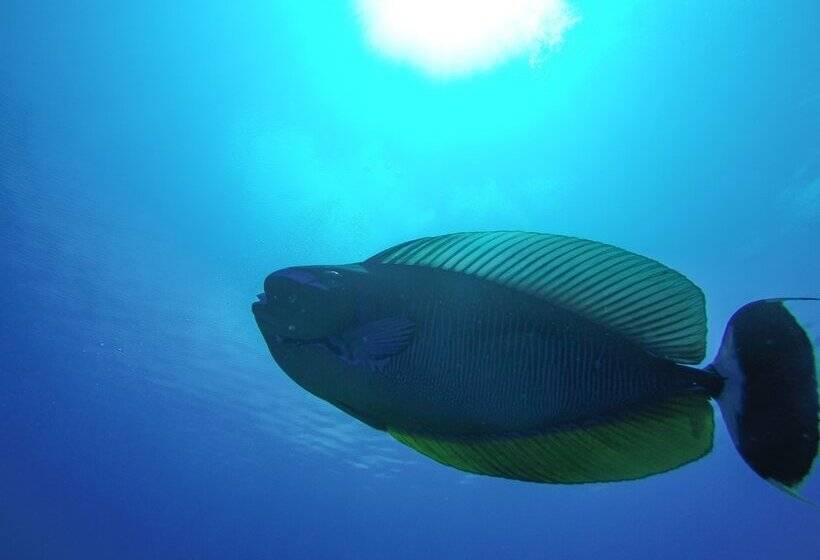 پانسیون Rasdhoo Dive Lodge