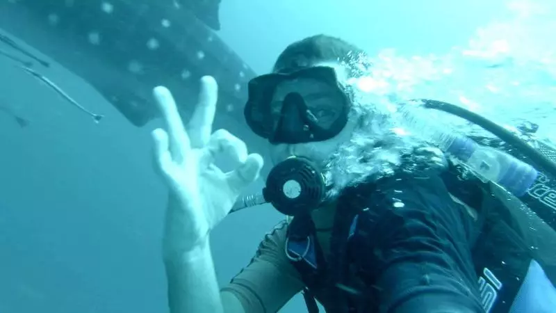 پانسیون Goby Lodge Guest House